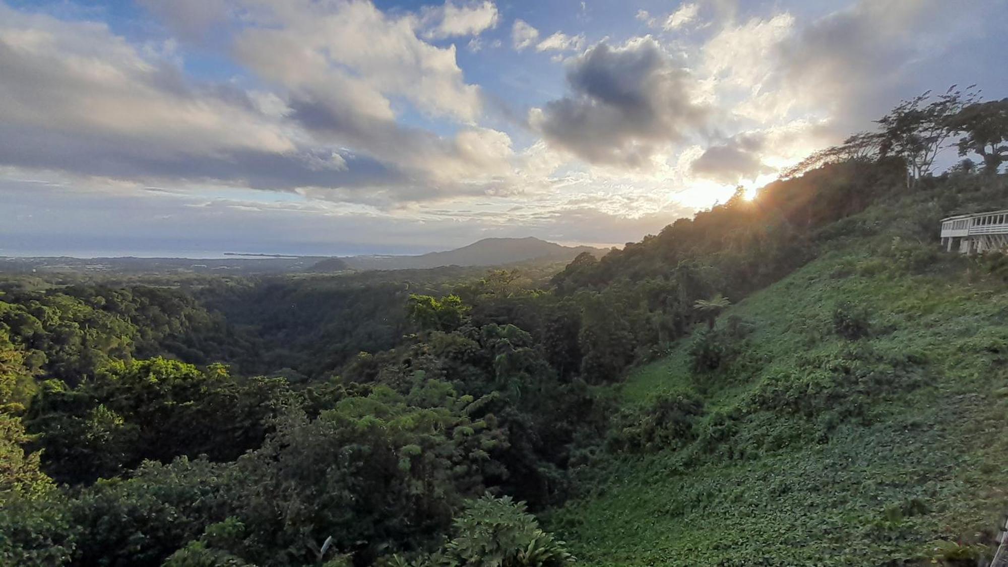 Dave Parker Eco Lodge Hotel Apia Buitenkant foto